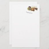 黒猫フクロージャックO'ランタン魔女の箒 便箋 (正面/裏面)