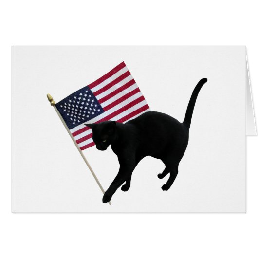 黒猫フラグ (正面横)