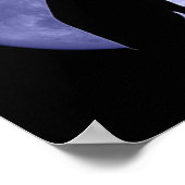 黒猫ブルームーンポスタープリント ポスター (角)