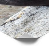 黒猫ポスター ポスター (角)