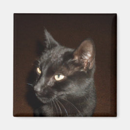 黒猫マグネット マグネット