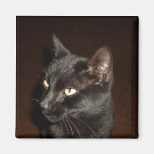 黒猫マグネット マグネット (正面)