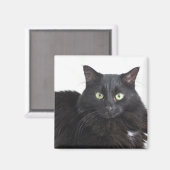 黒猫マグネット マグネット (正面/裏面)
