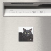 黒猫マグネット マグネット (インサイチュ (食洗機))