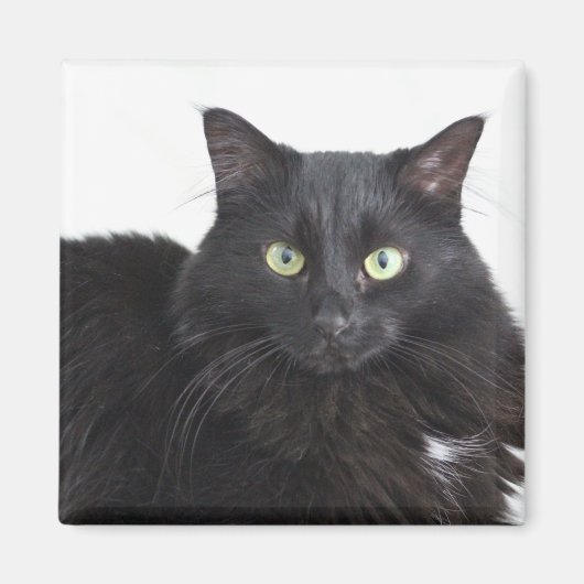 黒猫マグネット マグネット (正面)