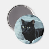 黒猫マグネット マグネット (正面/裏面)