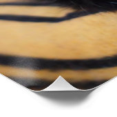 黒猫光沢ポスター ポスター (コーナー)