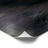 黒猫好き ポスター (コーナー)