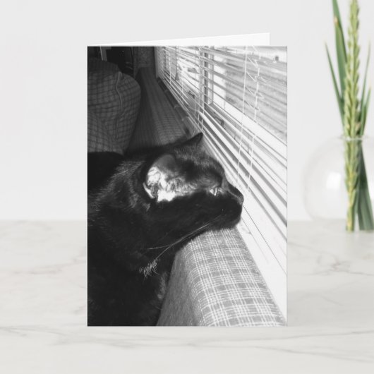 黒猫恋しく思カード カード (正面)