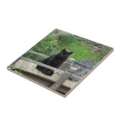 黒猫橋セラミックタイル タイル (側面)