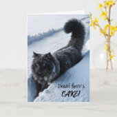 黒猫歩くイン深い雪 カード (黄色い花)