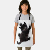 黒猫登山オンヒューマンバック エプロン (インサイチュ)
