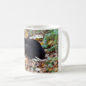 黒猫秋の写真クラシック白マグカップ コーヒーマグカップ (正面右)