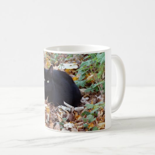 黒猫秋の写真クラシック白マグカップ コーヒーマグカップ (正面右)