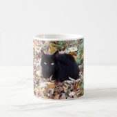 黒猫秋の写真クラシック白マグカップ コーヒーマグカップ (中央)