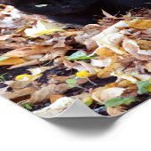 黒猫秋フォトバリューポスター紙(マット) ポスター (角)