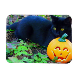 黒猫秋マグネット マグネット