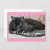 黒猫考えのはがき ポストカード (正面/裏面)
