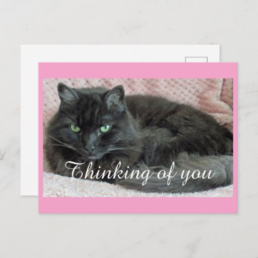 黒猫考えのはがき ポストカード (正面/裏面)