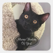黒猫考えのステッカー スクエアシール (正面)