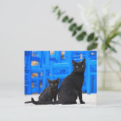 黒猫野良猫ポストクロス ポストカード (スタンド正面)