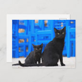 黒猫野良猫ポストクロス ポストカード (正面/裏面)