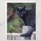 黒猫 (正面/裏面)