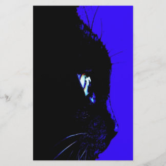 黒猫