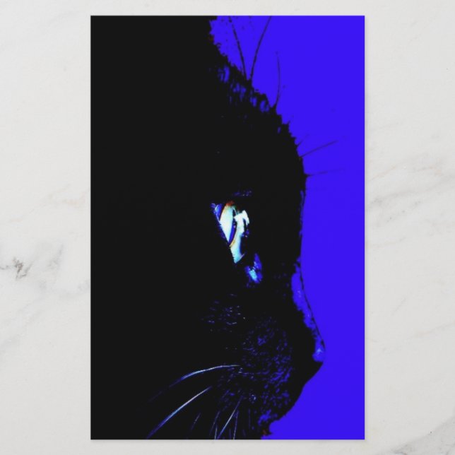 黒猫 (正面)