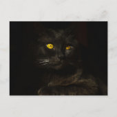 黒猫 – はがき (正面)