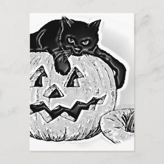 黒猫 オレンジ色のカボチャ ハロウィン ポストカード (正面)