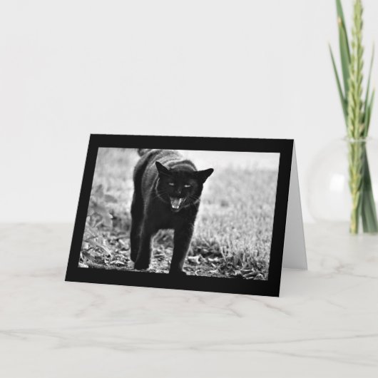 "黒猫" カード (正面)