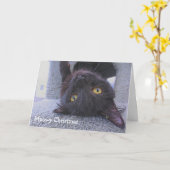 黒猫 カード (黄色い花)