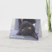 黒猫 カード (正面)