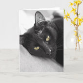 黒猫 カード (黄色い花)