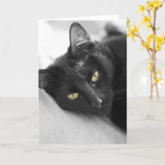 黒猫 カード (黄色い花)