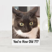 黒猫 カード (正面)