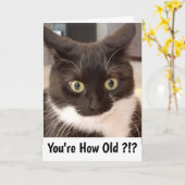 黒猫 カード (黄色い花)