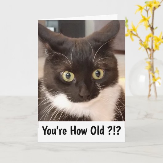 黒猫 カード (黄色い花)