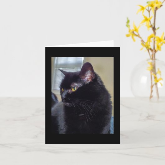 黒猫 カード (黄色い花)