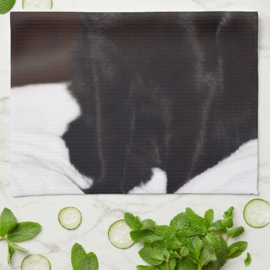 黒猫 キッチンタオル (折り畳み)