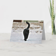黒猫 キティー かわいい オーダーメイド カード