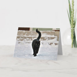 黒猫 キティー かわいい オーダーメイド カード
