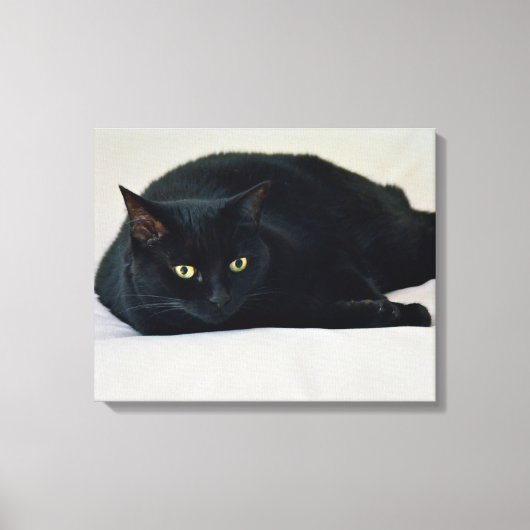 黒猫 キャンバスプリント (正面)