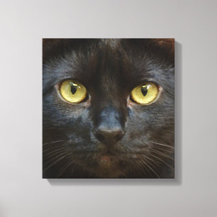 黒猫 キャンバスプリント