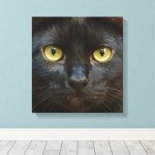 黒猫 キャンバスプリント (インサイチュ (ウッドフロア))