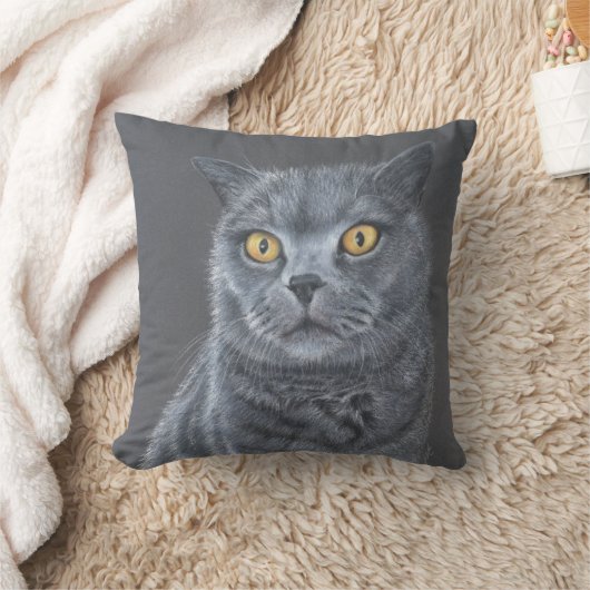 黒猫 クッション (ブランケット)