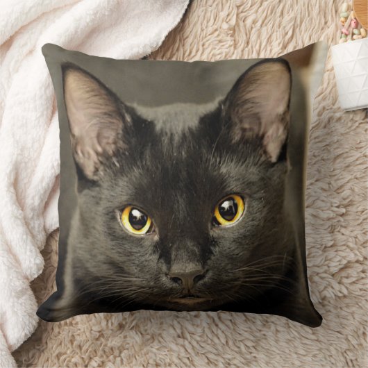黒猫 クッション (ブランケット)