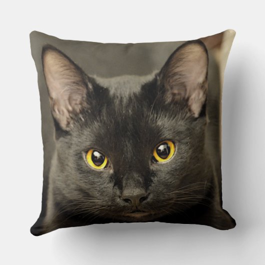 黒猫 クッション (裏面)