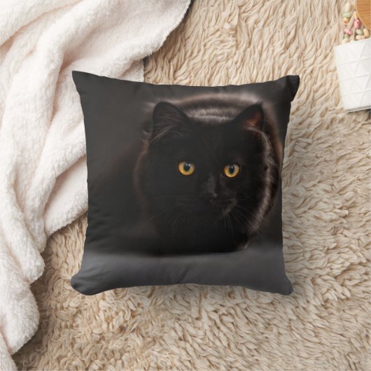 黒猫 クッション (ブランケット)